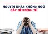 Nguyên nhân bệnh trĩ thường gặp hiện nay