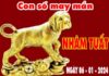 Phân tích con số may mắn tuổi Nhâm Tuất ngày 6/1/2024