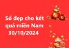 Số đẹp cho kết quả miền Nam 30/10/2024