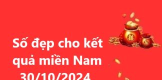 Số đẹp cho kết quả miền Nam 30/10/2024