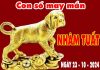 Cặp số đẹp may mắn tuổi Nhâm Tuất ngày 23/10/2024 thứ 4 hôm nay