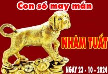 Cặp số đẹp may mắn tuổi Nhâm Tuất ngày 23/10/2024 thứ 4 hôm nay