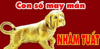 Cặp số đẹp may mắn tuổi Nhâm Tuất ngày 23/10/2024 thứ 4 hôm nay