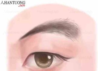 lông mày chổi xể