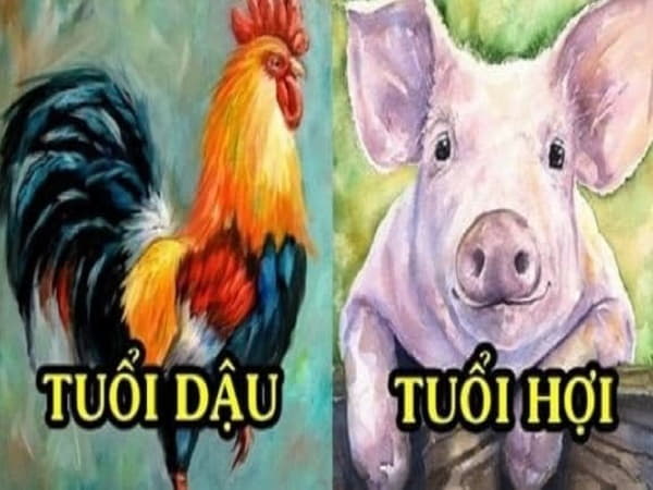 Tổng quan về tuổi Dậu và tuổi Hợi