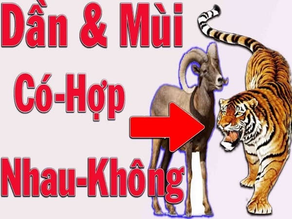 Tuổi Mùi với tuổi Dần có hợp nhau trong công việc không?