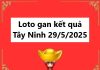 Loto gan kết quả Tây Ninh 29/5/2025