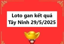 Loto gan kết quả Tây Ninh 29/5/2025