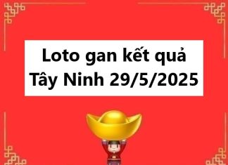 Loto gan kết quả Tây Ninh 29/5/2025