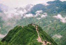 sống lưng khủng long ở đâu