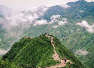 sống lưng khủng long ở đâu