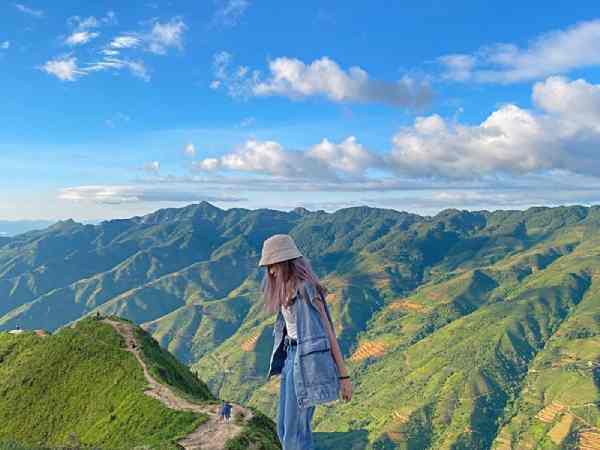 Sống lưng khủng long ở đâu?