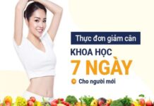 Thực đơn giảm cân cho người mới bắt đầu an toàn hiệu quả