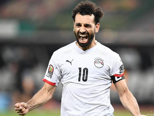 Cầu thủ Ai Cập Cầu thủ Ai Cập