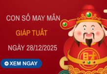 Con số may mắn tuổi Giáp Tuất theo thời tiết ngày 28/12/2025