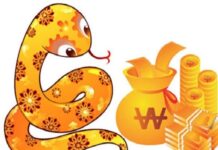 Luận tìm con số phát lộc tuổi Tỵ ngày 18/12 giúp phát tài