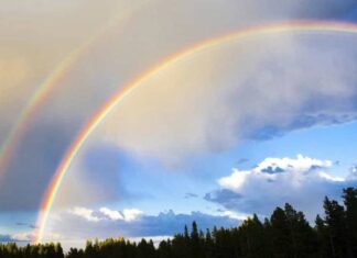 Mơ thấy cầu vồng là điềm gì, con số nào may mắn liên quan