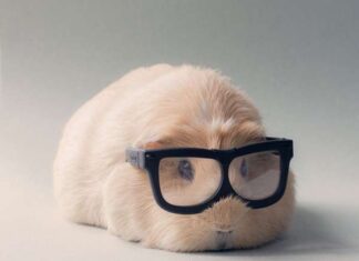 Luận các con số tài lộc tuổi Nhâm Tý ngày 25/2 thứ 4 chuẩn con số tài lộc tuổi Nhâm Tý ngày 25/2 thứ 4