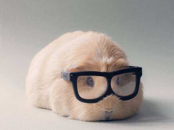 Luận ngũ hành chọn con số tài lộc tuổi Nhâm Tý ngày 25/2 thứ 4 Luận ngũ hành chọn con số tài lộc tuổi Nhâm Tý ngày 25/2 thứ 4