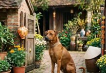 Con số may mắn ngày 25 tháng 03 thứ 4 của tuổi Tuất Con số may mắn ngày 25 tháng 03 thứ 4 của tuổi Tuất