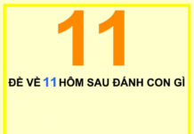 Đề về 11 hôm sau ra con gì thu hút nhiều tài phú