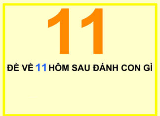 Đề về 11 hôm sau ra con gì thu hút nhiều tài phú