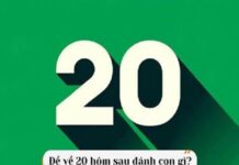 Tổng hợp khi đề về 20 hôm sau, ngày mai về con lô gì?