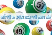 Thống kê đề về 12 hôm sau về con gì, ra con gì chuẩn? Thống kê đề về 12 hôm sau về con gì, ra con gì may mắn?