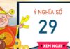 Tìm hiểu ý nghĩa số 29 là gì, có phải số vượng phát?