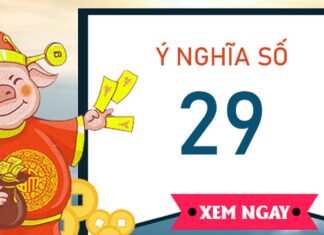 Tìm hiểu ý nghĩa số 29 là gì, có phải số vượng phát?