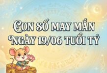 Luận giải con số may mắn tuổi Tý ngày 19/06/2026 hôm nay thứ 6