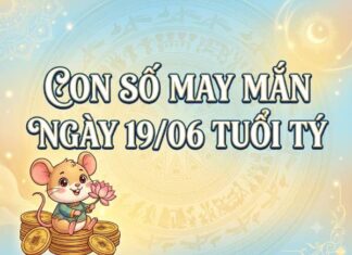 Luận giải con số may mắn tuổi Tý ngày 19/06/2026 hôm nay thứ 6